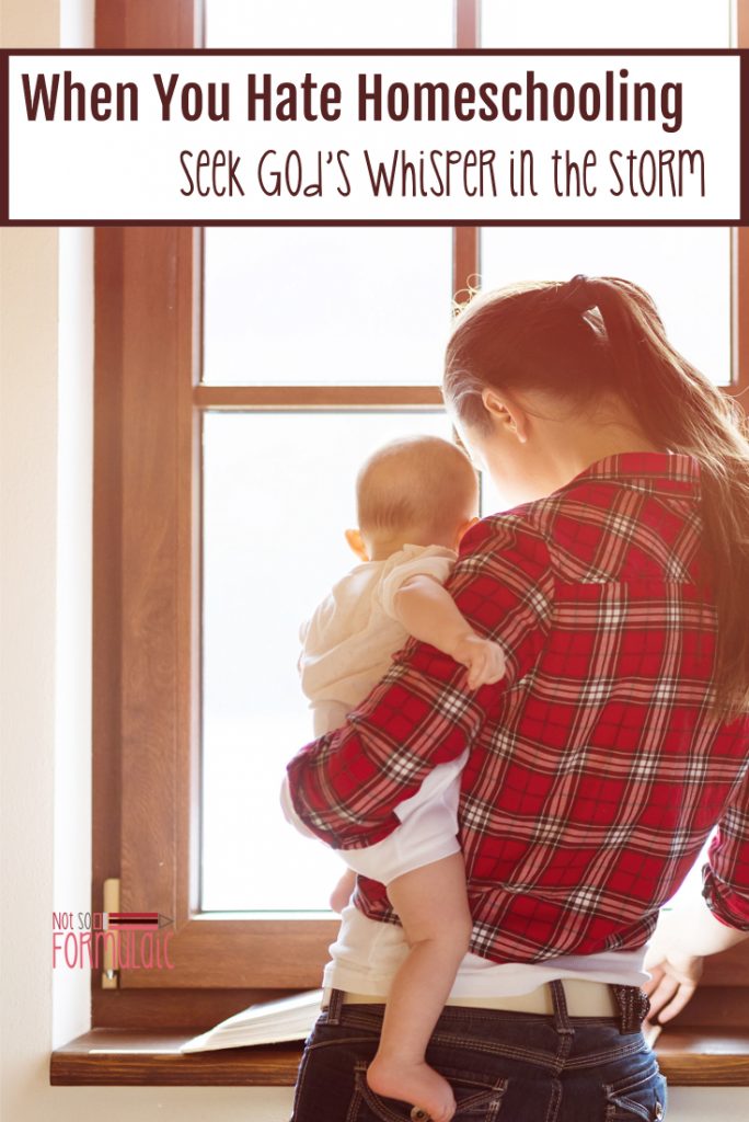 On The Days When You Hate Homeschooling Seek Out God 039 S Whisper In The Storm - Gifted/2e Education