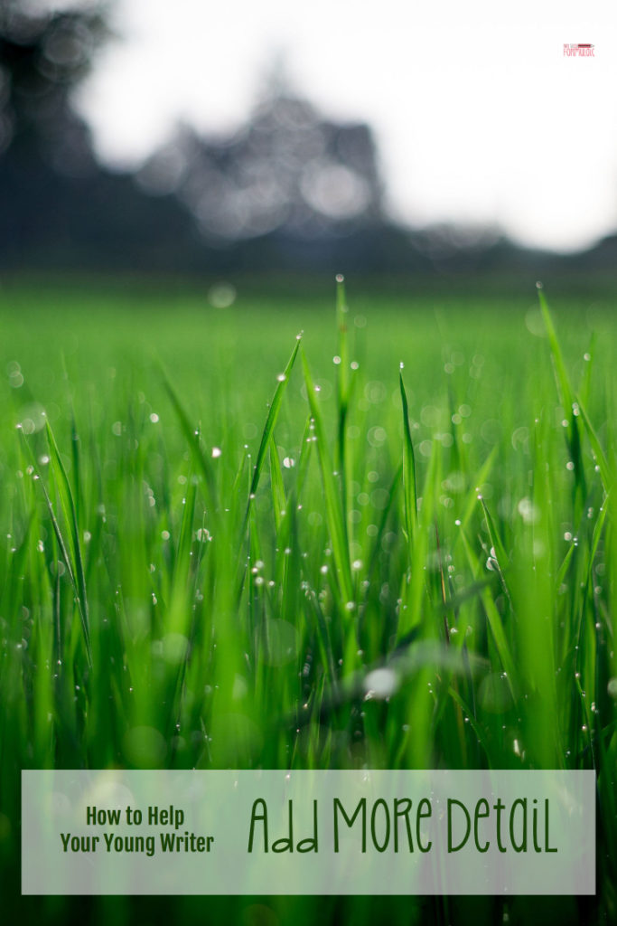 How To Help Young Writers Add More Detail - Gifted/2e Education