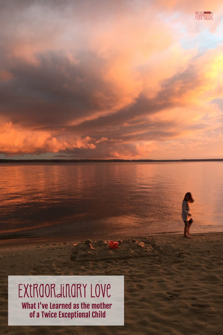 Extraodinarylovepin - Extraordinary Love: What I've Learned As The Mother Of A Twice Exceptional Child - Gifted/2e Parenting