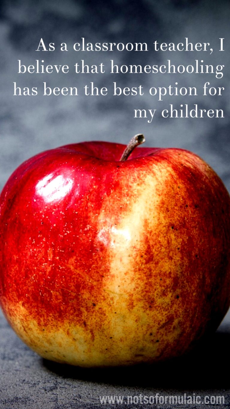 five things homeschooling taught a classroom teacher