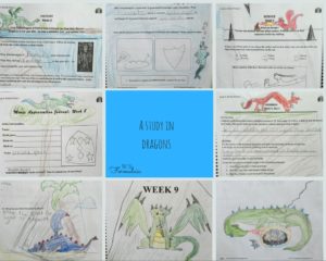 Be Different But Don 039 T Be Rude Balancing Needs With Social Skills In The Neurodivergent Child - Gifted/2e Parenting