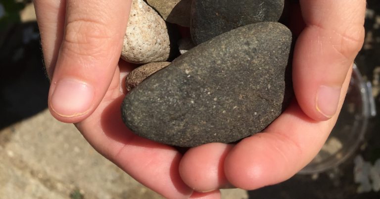 I am a Catholic, Pro-Life Woman.  Here’s What That Really Means.