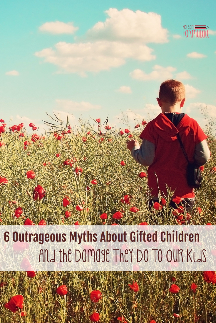 High Achieving Well Adjusted Free From Disabilities The List Goes On And On These 6 Common Myths About Gifted Children Have Far Reaching Consequences It 039 S Up To Us Parents And Educators To Advocate For The Truth - 6 Outrageous Myths About Gifted Children, And The Damage They Do To Our Kids - Gifted/2e Parenting