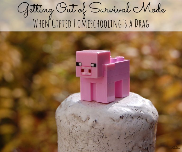Getting Out of Survival Mode: When Gifted Homeschooling is a Drag