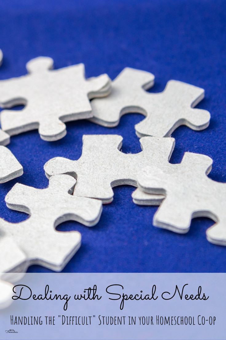 Sometimes The Challenge A Child Faces Is More Than Just A Learning Style Here 039 S How To Be Flexible And Sensitive To A Child 039 S Special Needs - Dealing With Special Needs: How To Handle The "difficult" Student In Your Homeschool Co-op - Educational Concerns: Classroom