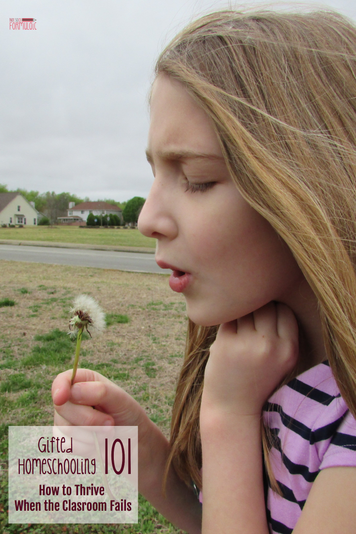It Is Possible To Homeschool Your Gifted Child Here 039 S How To Thrive When The Classroom Fails - Gifted Homeschooling 101: How To Thrive When The Classroom Fails - Gifted/2e Education