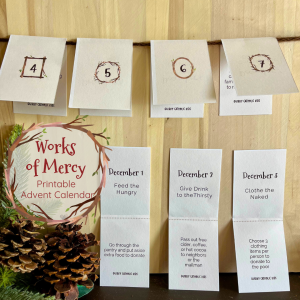 Works Of Mercy Promo