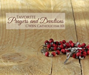 Don 039 T You Dare Give Up When God Says No The Incredible Blessing Of Unanswered Novenas - Gifted/2e Faith Formation