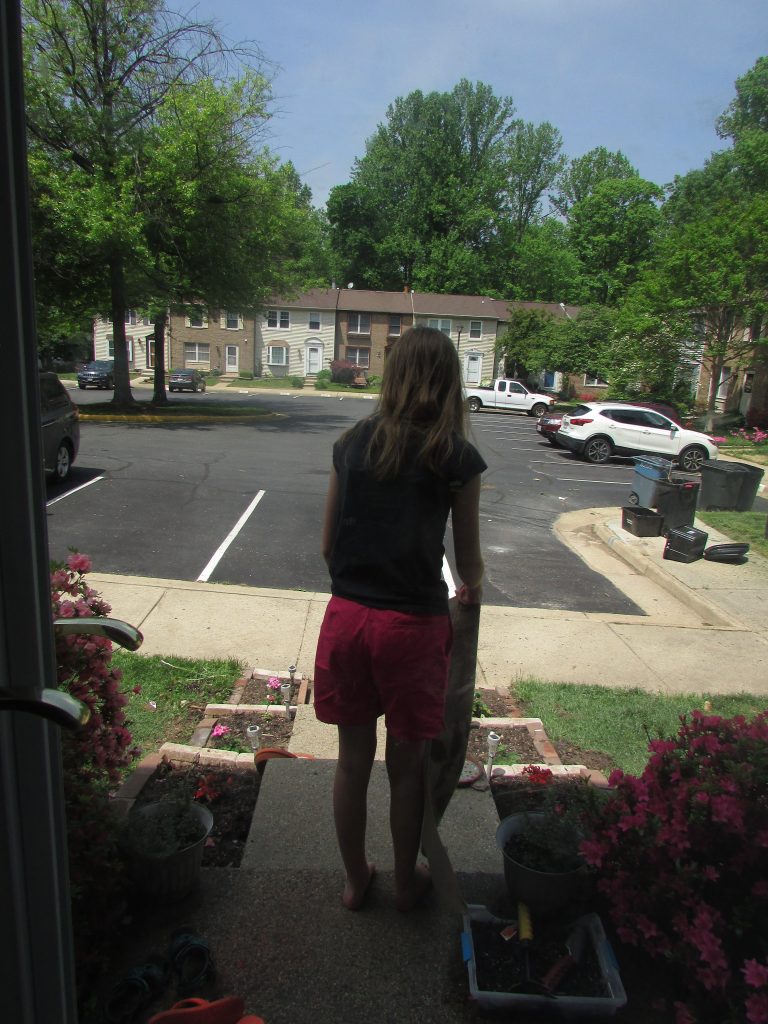 Img 0735 - Meet Homey, The Perfect Chore App For Quirky, Creative Kids - Gifted/2e Parenting