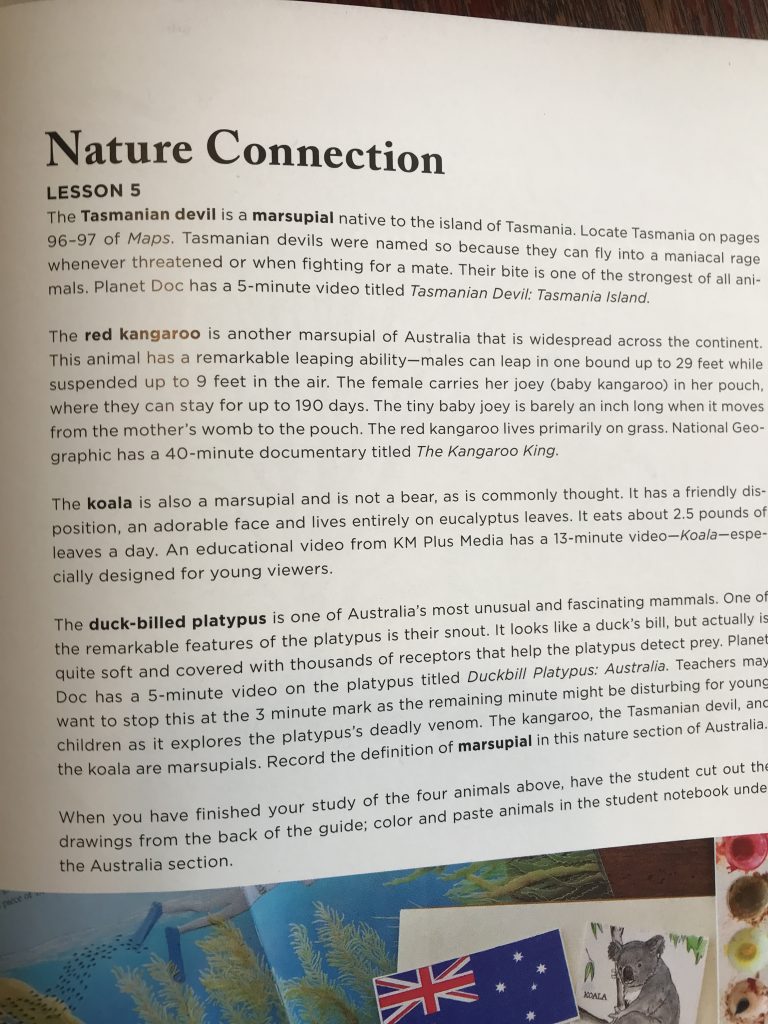 Around The World Through Picture Books Beautiful Feet 039 S History Through Literature - Gifted/2e Faith Formation