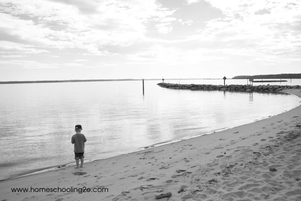 The Author 039 S Son At 3 - Parenting The Gifted Is Educational, And I Don't Mean For The Kids - Gifted/2e Advocacy