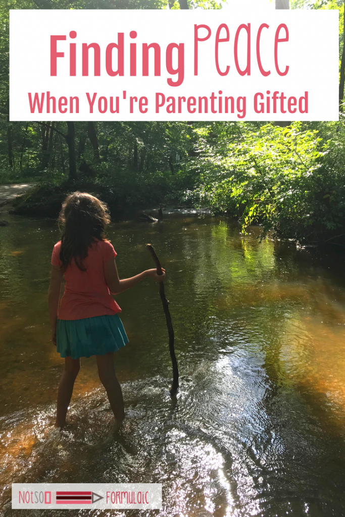Parenting Gifted Kids Is An Emotional Rollercoaster Here 039 S How To Find Great Peace - Connecting With Your Child