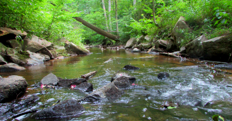 Parenting Neurodivergent Catholic Kids