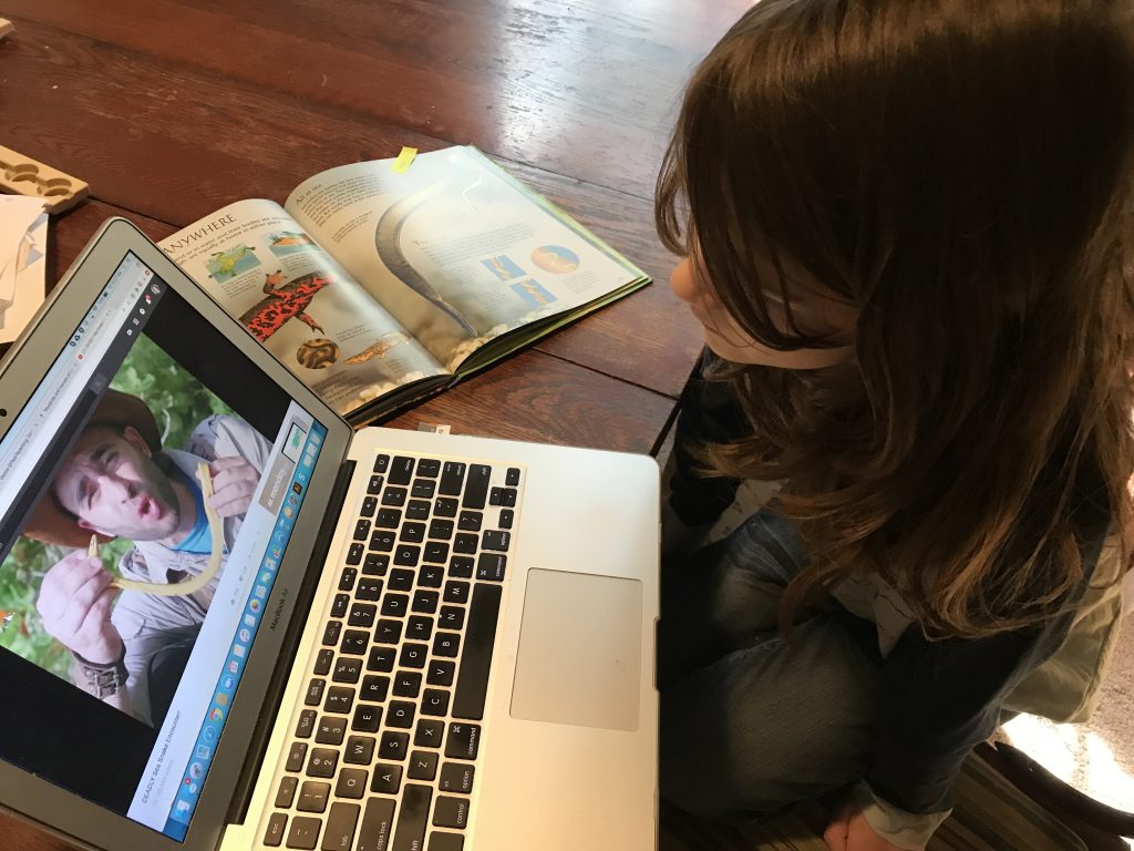 Learning Across The Curriculum With Bookshark Science - Gifted/2e Education