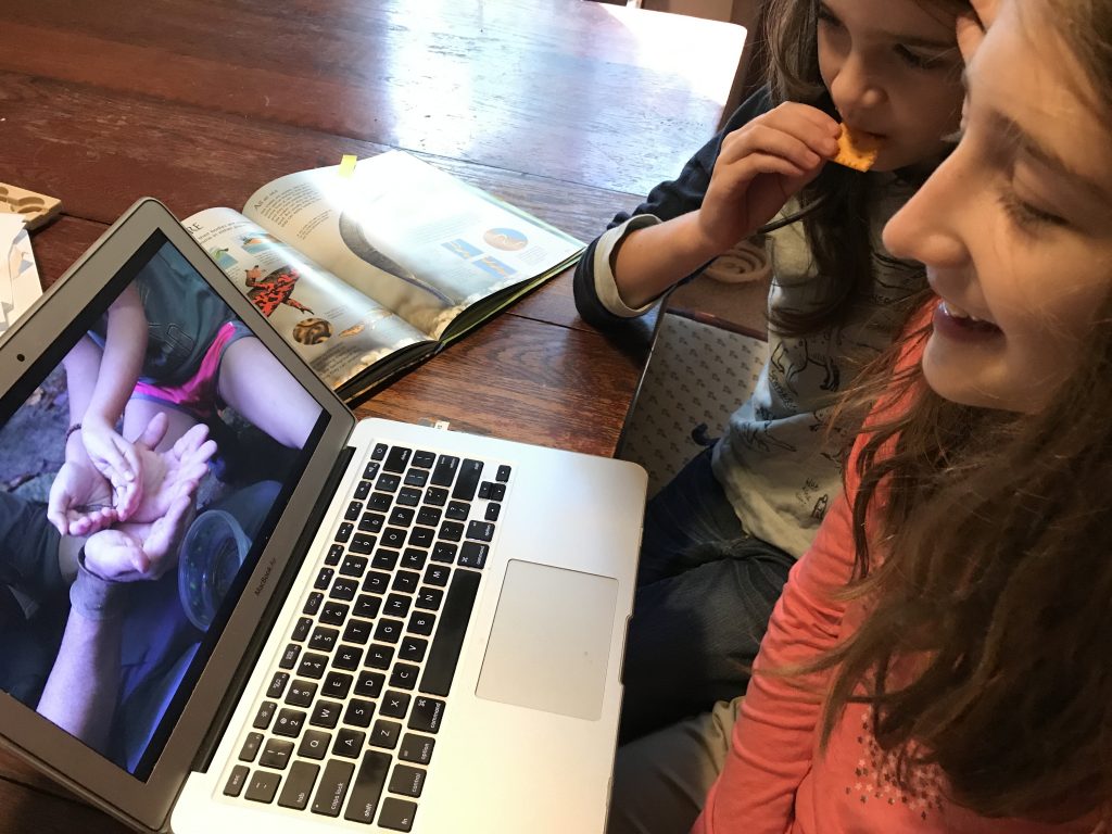 Learning Across The Curriculum With Bookshark Science - Gifted/2e Education