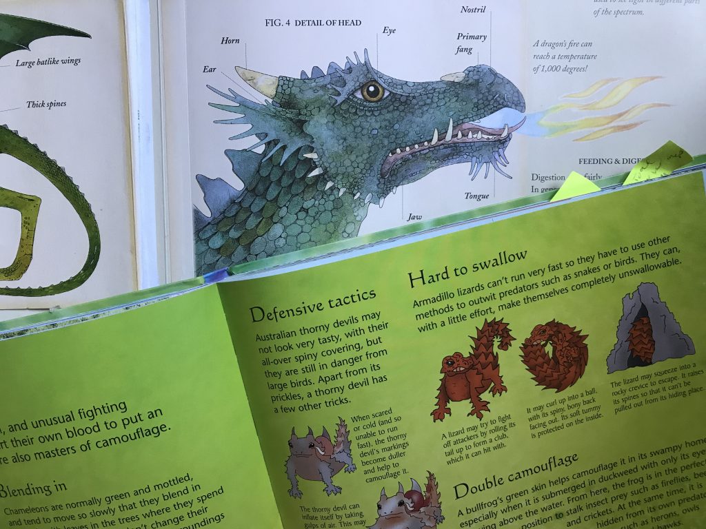 Img 4210 - Learning Across The Curriculum With Bookshark Science - Gifted/2e Education