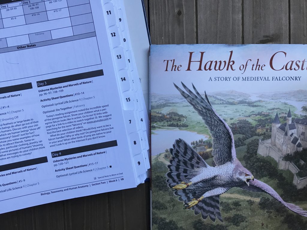 Img 4212 - Learning Across The Curriculum With Bookshark Science - Gifted/2e Education