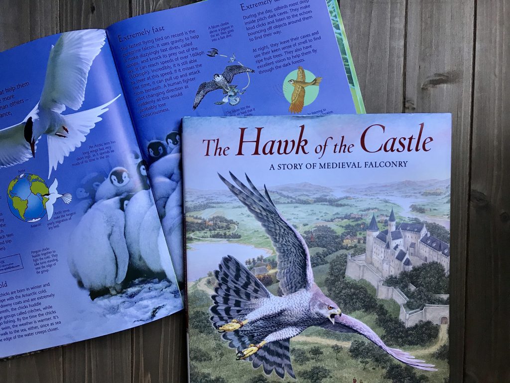 Img 4213 - Learning Across The Curriculum With Bookshark Science - Gifted/2e Education