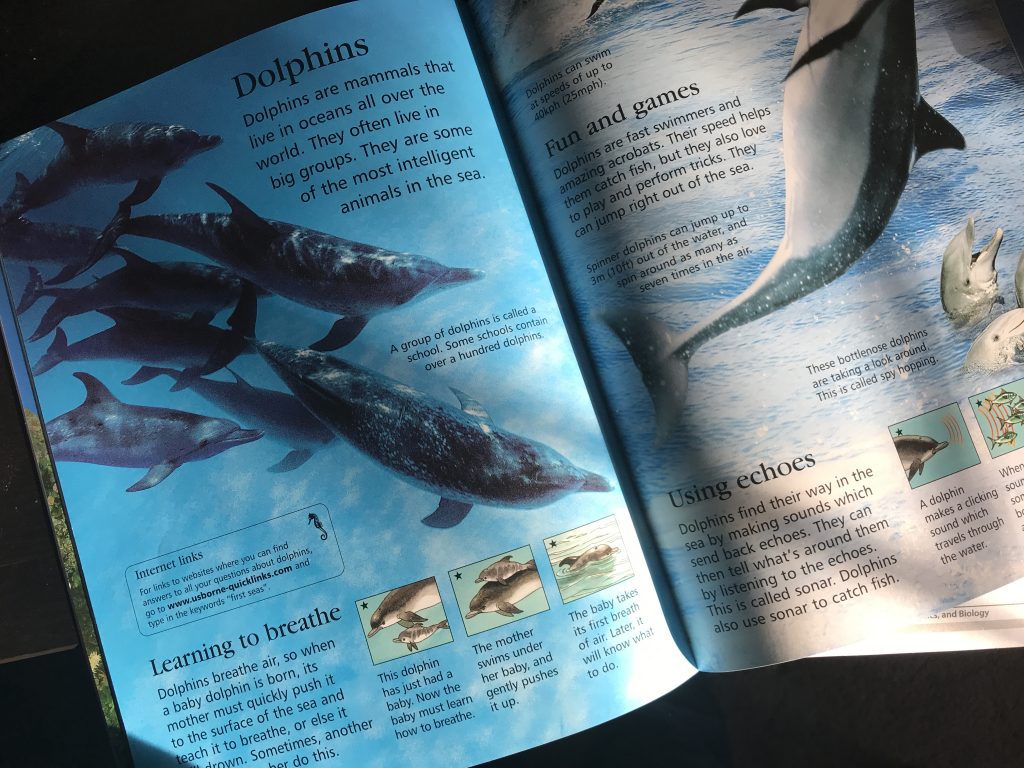 Want To Raise A Critical Thinker Foster Higher Level Thinking Skills - Encouraging Critical Thinking