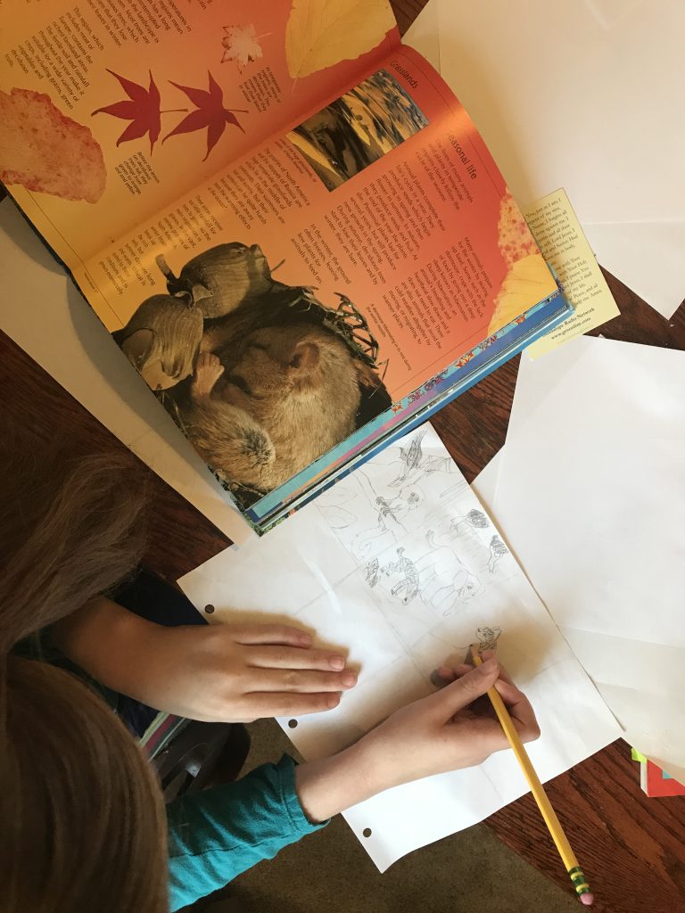 Putting The A In Stem Why Art Matters To Science - Gifted/2e Education