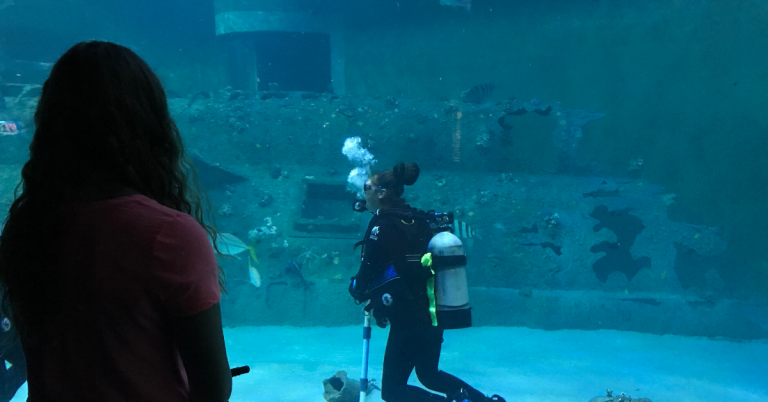 Cool Catholic Women – in STEM!