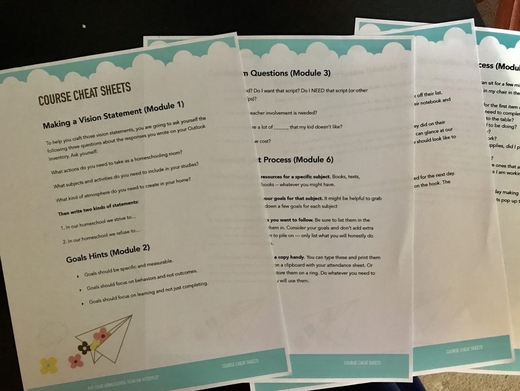 Put Your Homeschool On Autopilot How To Homeschool With Zero Executive Functioning Skills - Gifted/2e Education