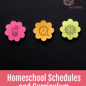 Homeschool Schedules and Curriculum for Twice-Exceptional Families