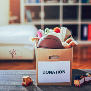 Organization And Chores Webinar Promo