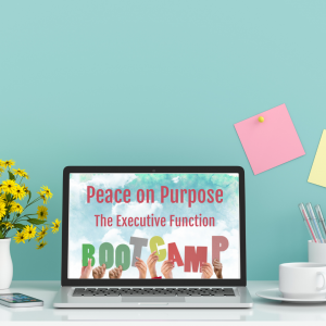 Peace On Purpose Bootcamp Promo Image