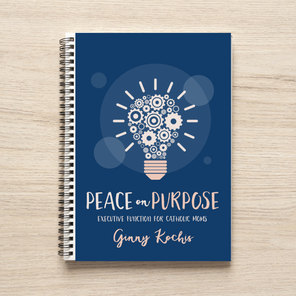Catholic Executive Function Workbooks - Peace On Purpose: Catholic Executive Function For Moms