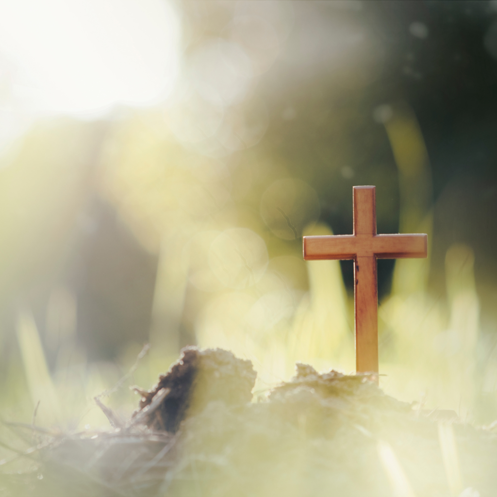 The Zelie Society Catholic Support For Neurodivergent Parenting